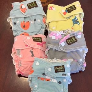 Grovia Kiwi Pie Fitted Lot